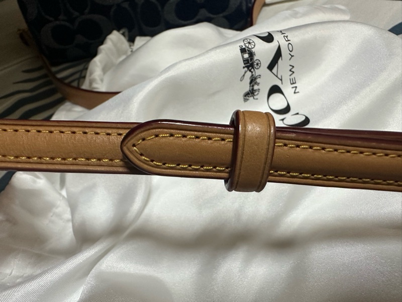 COACH 迷你Rowan 斜背包-42