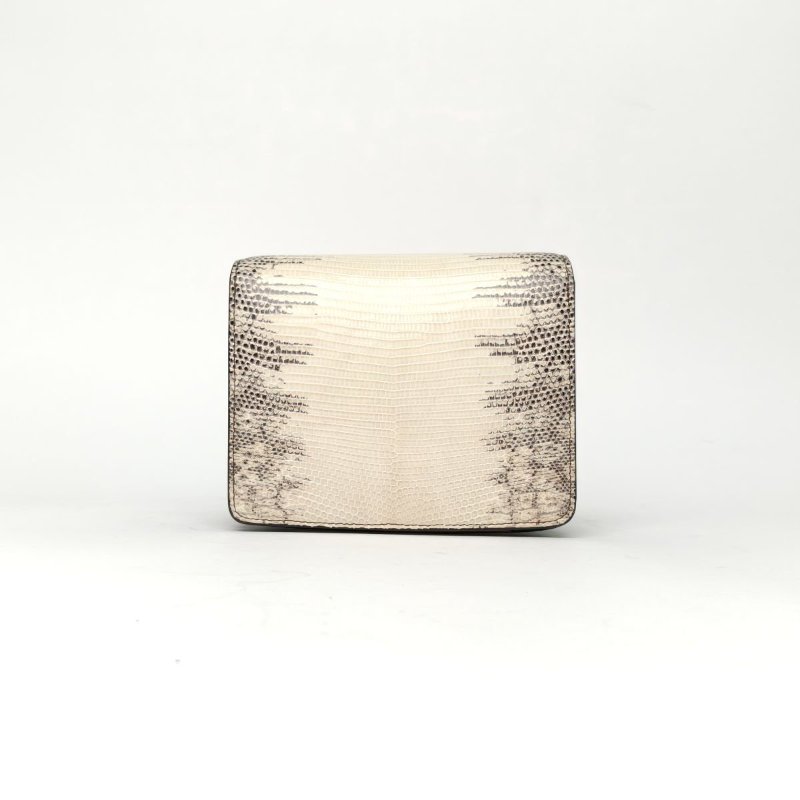 CELINE CLASSICBOX小號喜馬拉雅漸變色蜥蜴皮金扣肩背包-1