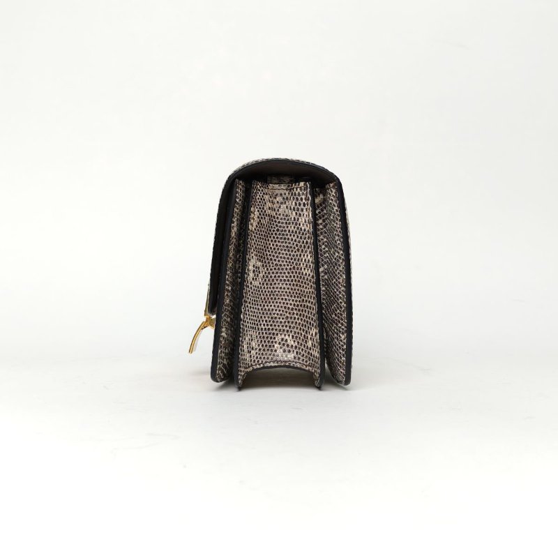 CELINE CLASSICBOX小號喜馬拉雅漸變色蜥蜴皮金扣肩背包-3