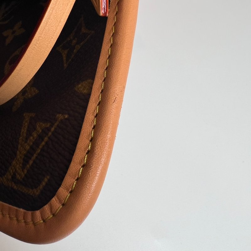 LV M46203/晶片款 老花CARRYALL PM 單背包-13