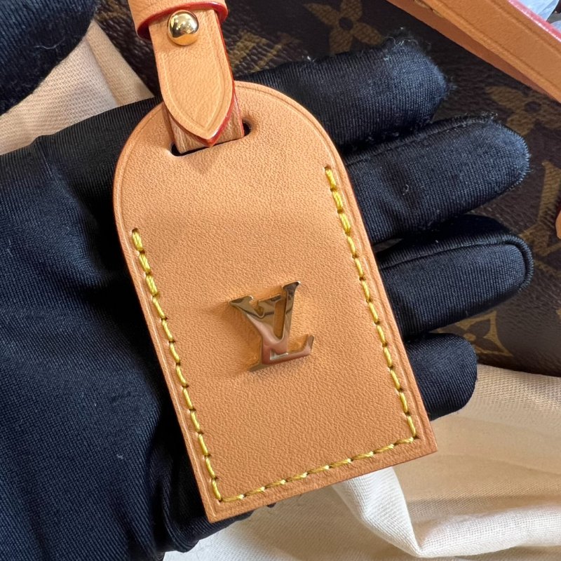 LV M46203/晶片款 老花CARRYALL PM 單背包-14