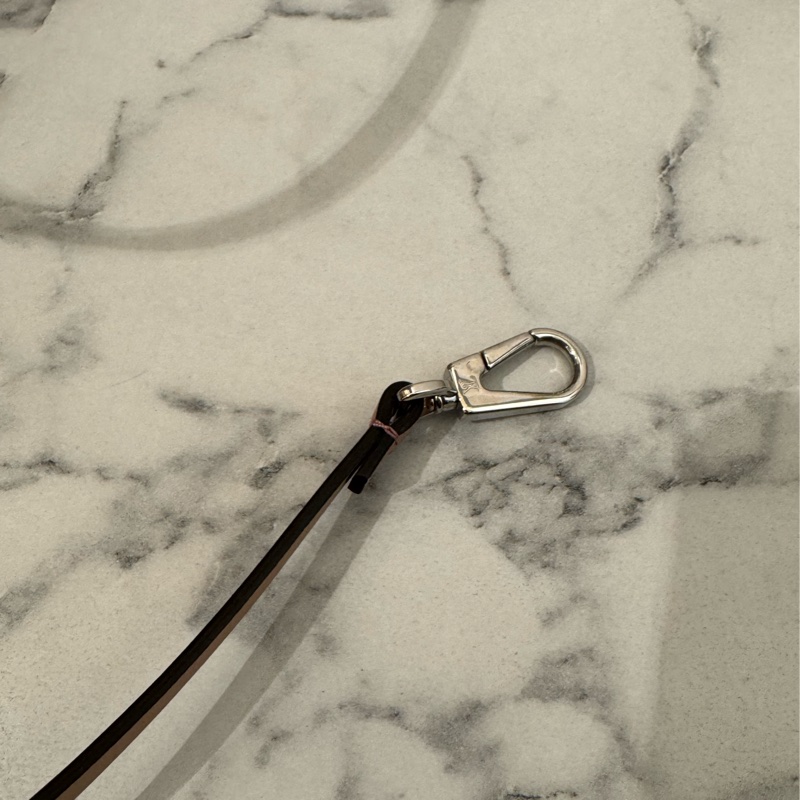 LV膚橘色月光女神手提兩用包-44