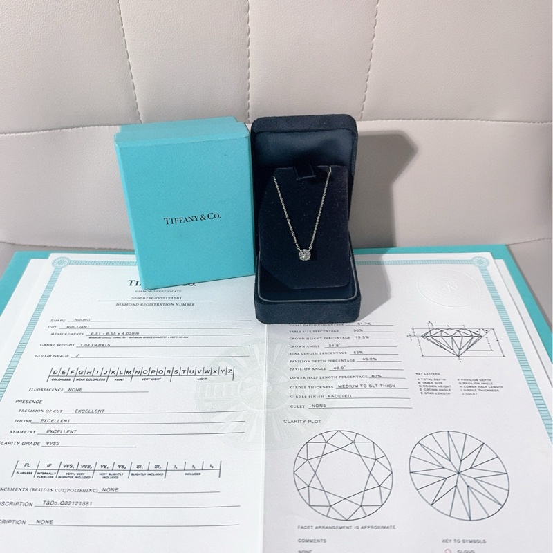 Tiffany蒂芙尼 Solitaire系列 经典款 一克拉铂金钻石项链-0