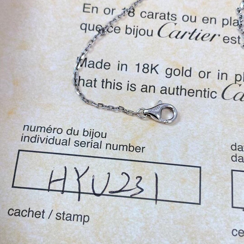 卡地亞Love釘子白金滿鑽項鍊，2019年購入-4