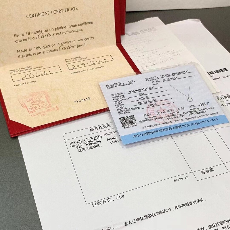 卡地亞Love釘子白金滿鑽項鍊，2019年購入-5