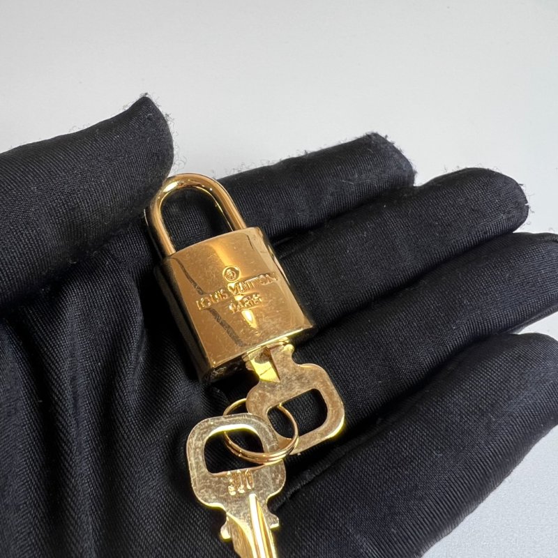 LV M46234/晶片款 老花SPEEDY 20 肩背包-12