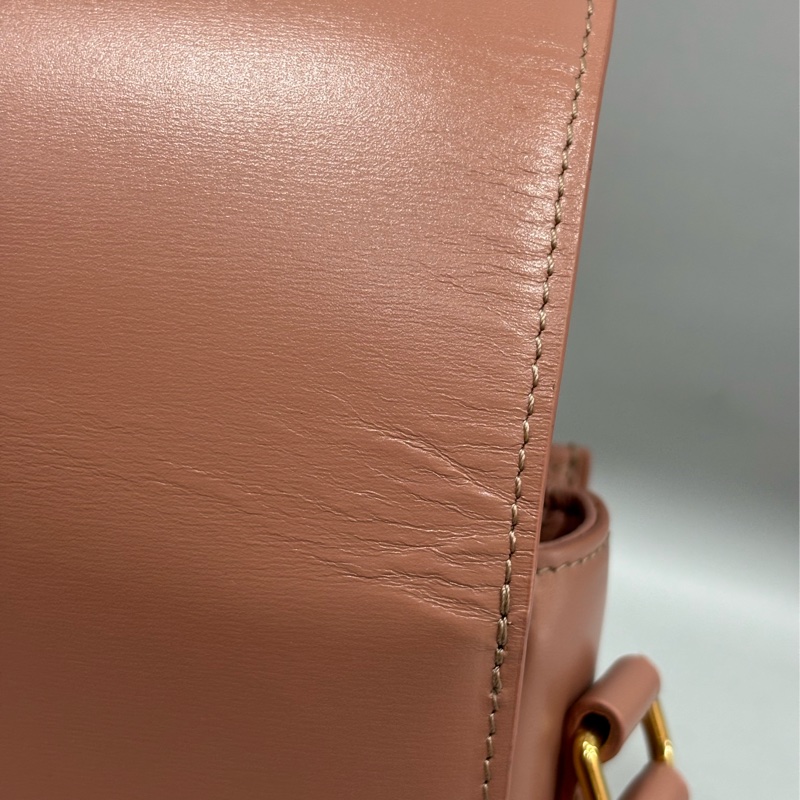 CELINE 187363 TRIOMPHE Box LOGO 乾燥玫瑰色牛皮 金釦凱旋門 肩背包斜背包-25