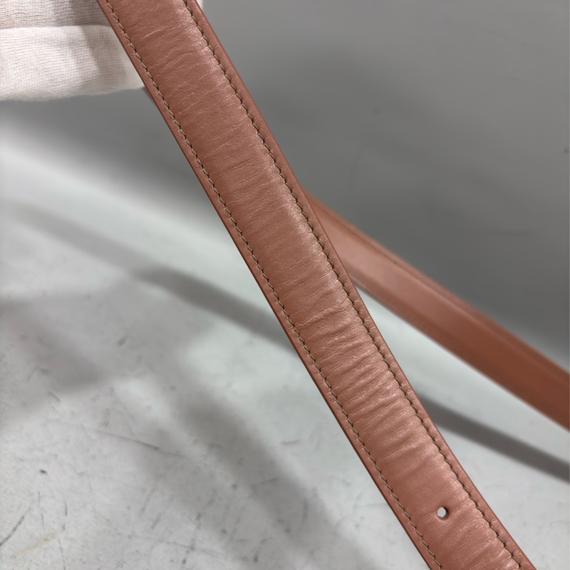 CELINE 187363 TRIOMPHE Box LOGO 乾燥玫瑰色牛皮 金釦凱旋門 肩背包斜背包-49