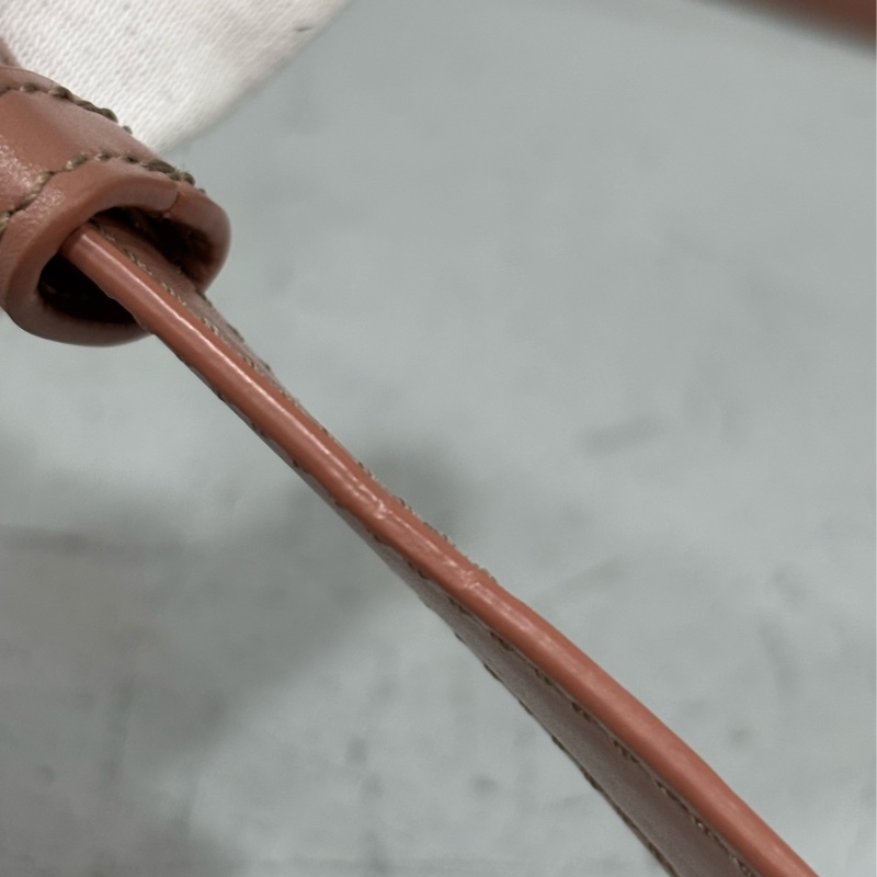 CELINE 187363 TRIOMPHE Box LOGO 乾燥玫瑰色牛皮 金釦凱旋門 肩背包斜背包-52