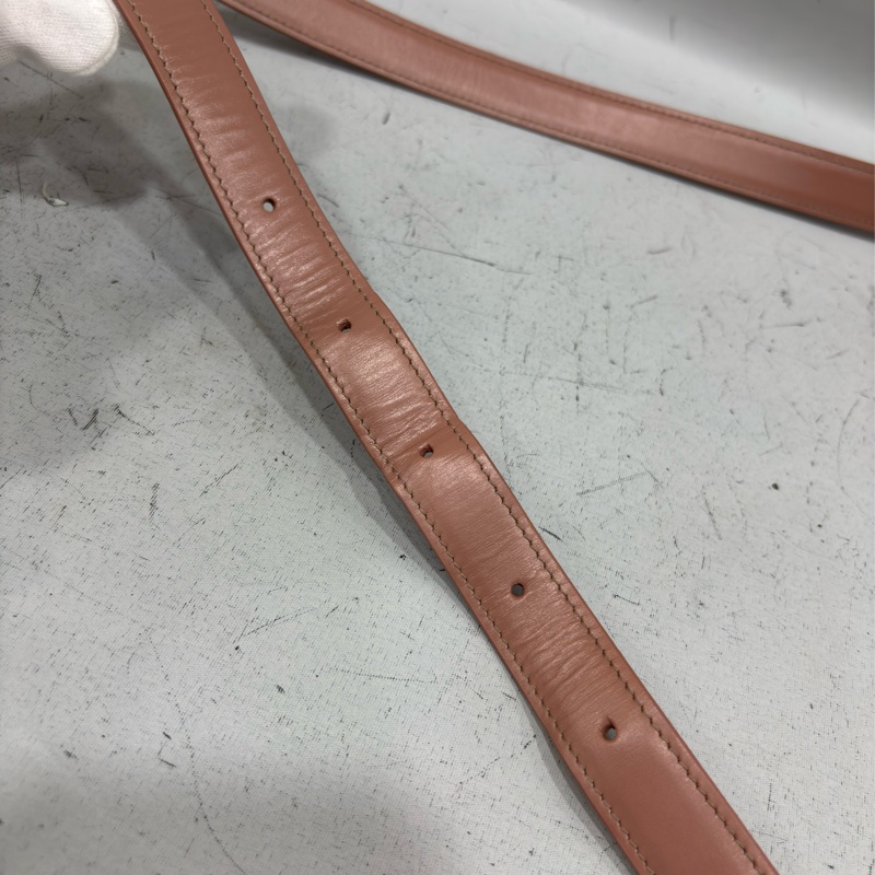 CELINE 187363 TRIOMPHE Box LOGO 乾燥玫瑰色牛皮 金釦凱旋門 肩背包斜背包-54