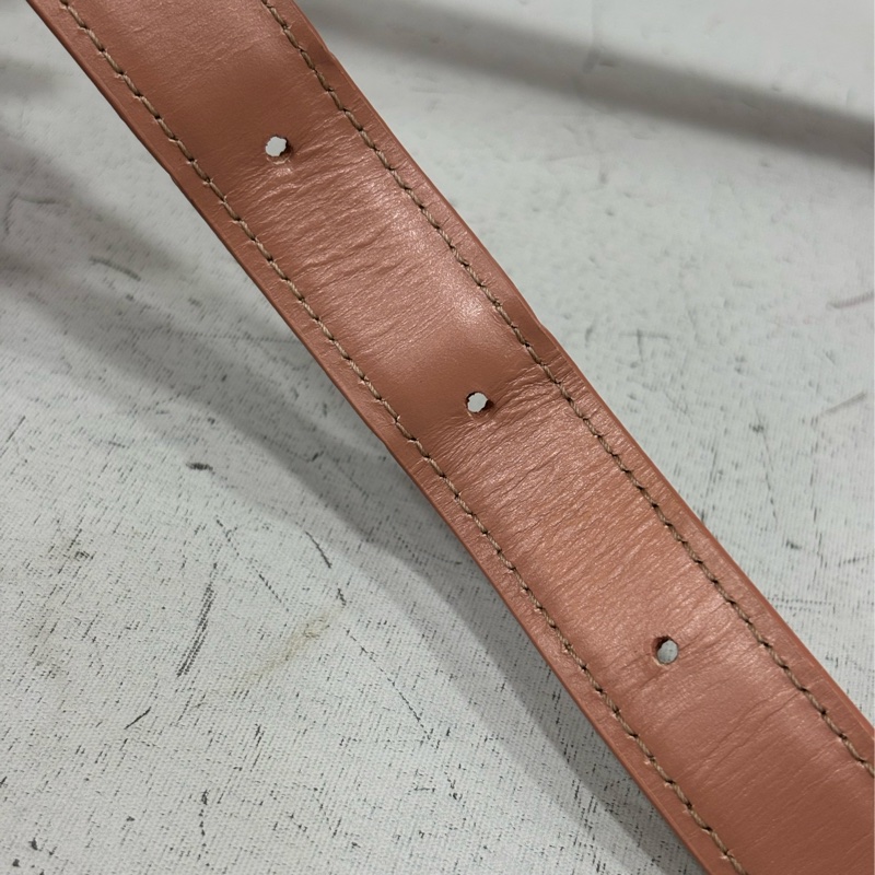 CELINE 187363 TRIOMPHE Box LOGO 乾燥玫瑰色牛皮 金釦凱旋門 肩背包斜背包-56