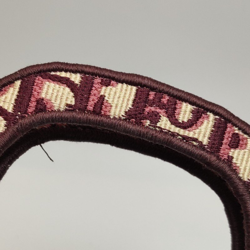 Dior Book Tote迷你帆布Oblique老花字母logo手提包-13