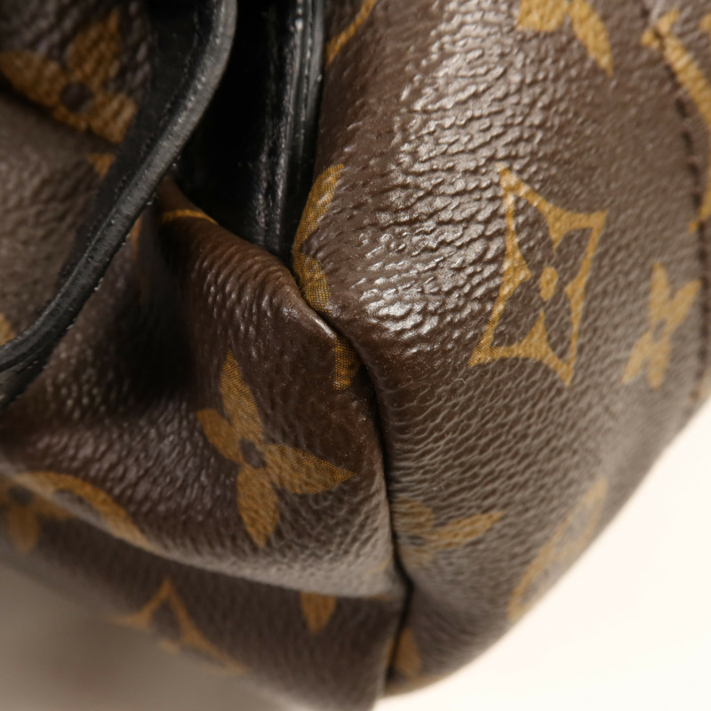 LOUIS VUITTON Monogram Palm Springs PM金扣背包-11