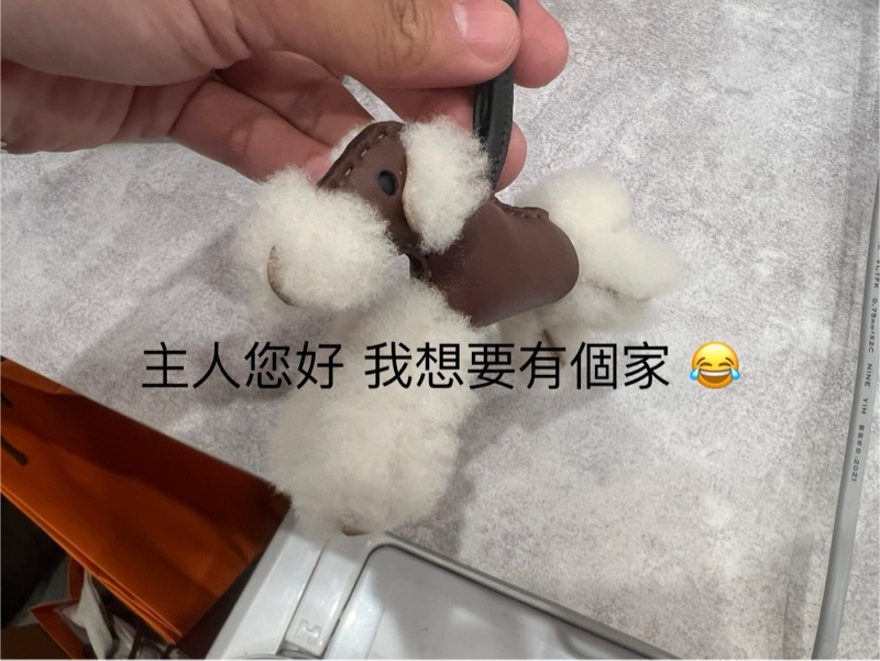 愛馬仕 超難買吊飾-5