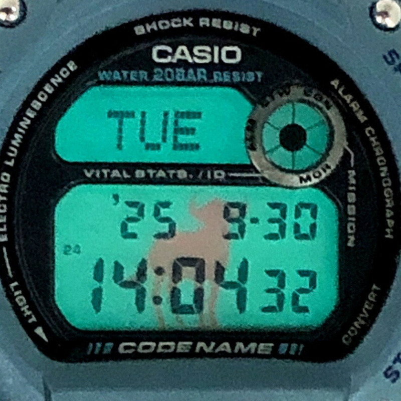 Casio G-SHOCK DW-8800MM-2T 手錶，代號 MASAIMARA，迷彩，Nu-EL 背光，耐低溫，金屬藍，1997 年 11 月發售，Mikunigaoka 商店，ITT4N8111URG-8