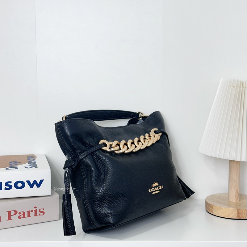 Coach Andy系列 鏈條福袋包-1