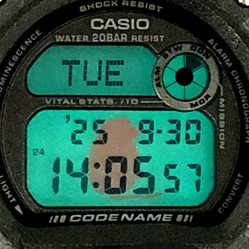 卡西歐 G-SHOCK DW-8800MM-1T 手錶，代號 MASAIMARA，迷彩設計，BABOON EL 背光，耐低溫，槍灰色迷彩，1997 年 11 月，Mikunigaoka 店 ITSIUVCVXSMG-8