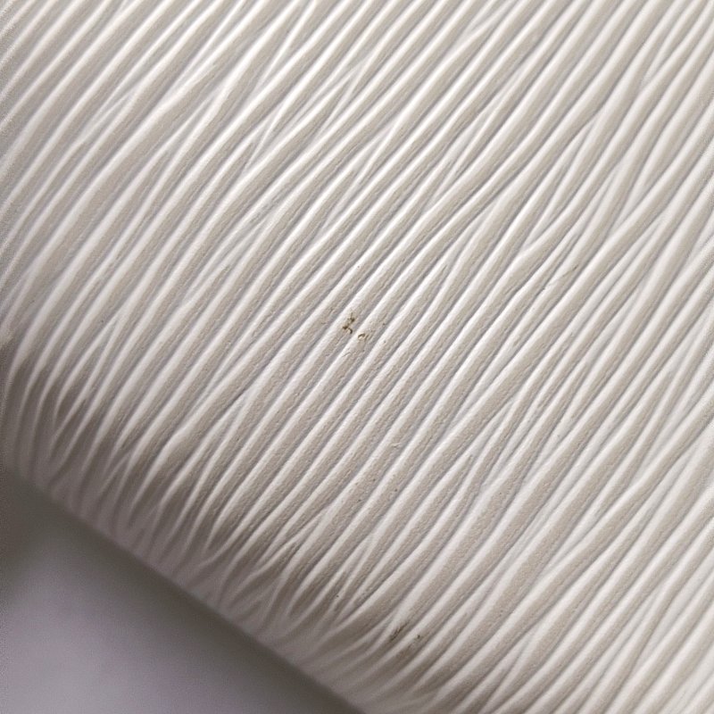 LOUIS VUITTON PHONE BOX 白色EPI牛皮水波紋相機包單肩包手提包斜挎包 黑色五金-8