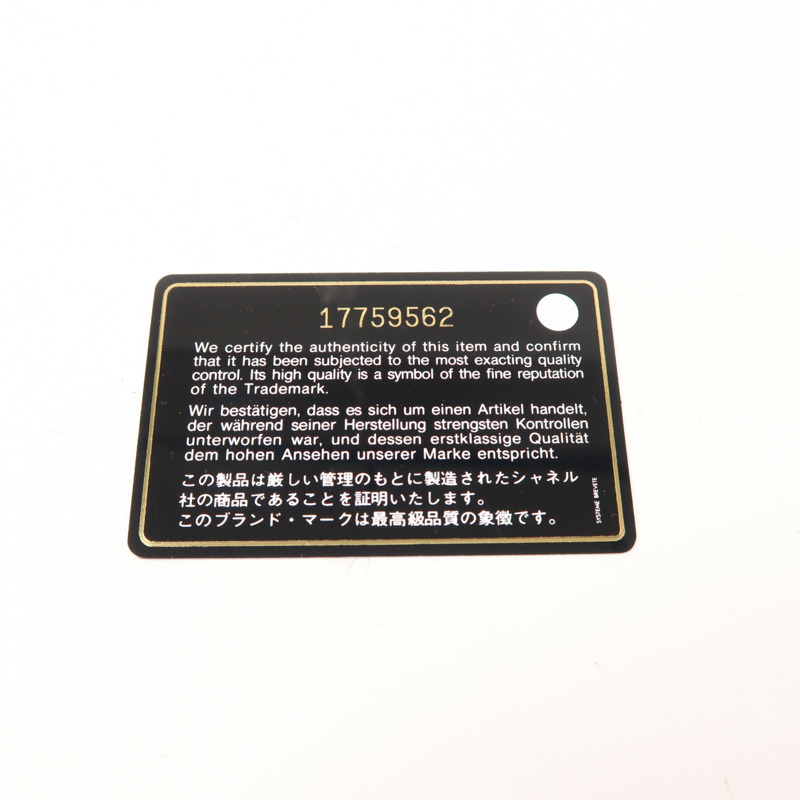 CHANEL 牛皮皮革WOC Wallet On Chain銀扣鏈帶肩背袋-7