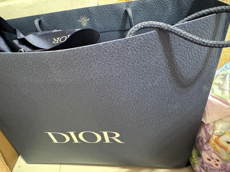 Dior 男士單肩包-19