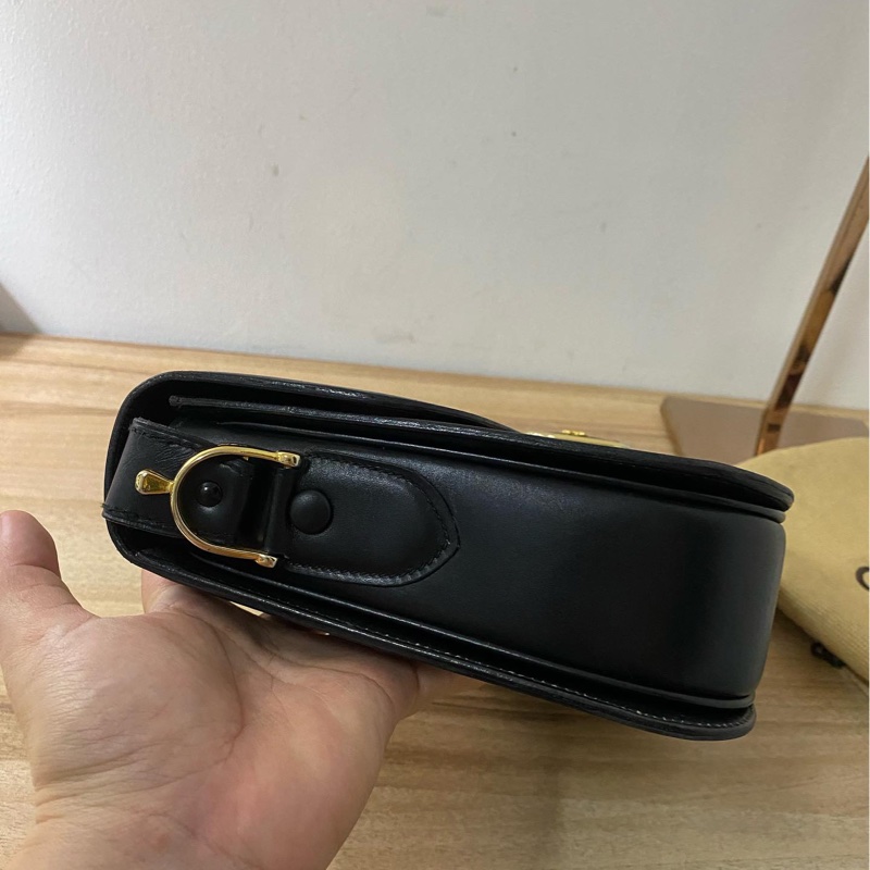celine bag-3