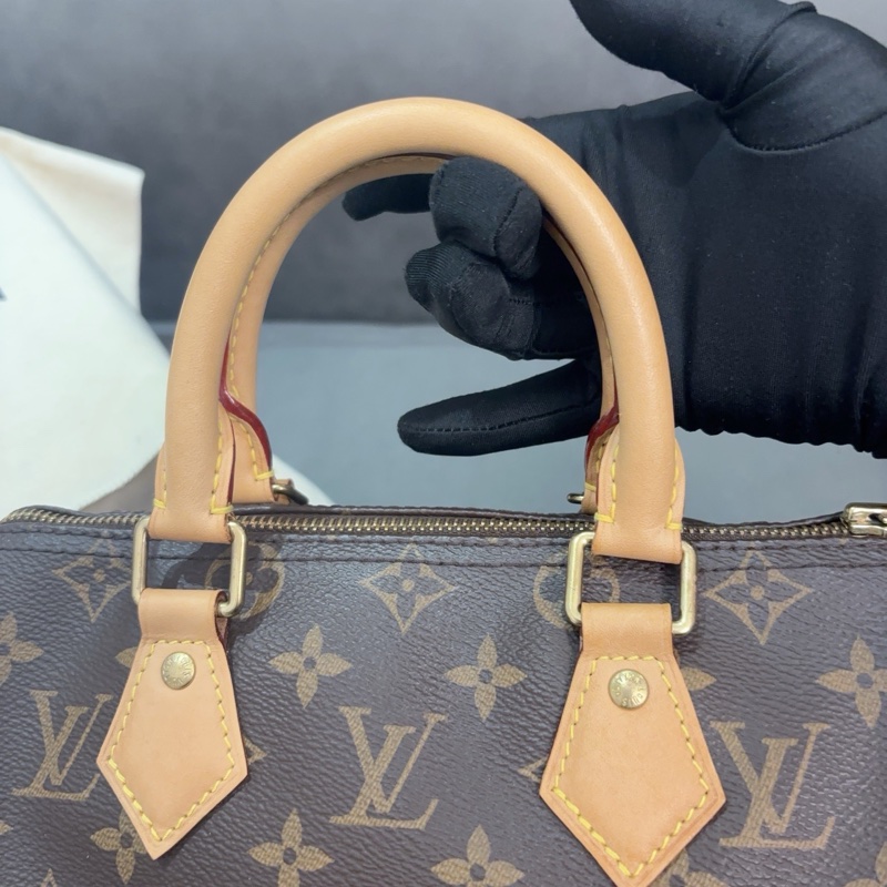 LV路易威登Speedy 25老花手提包-3