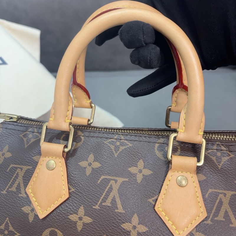 LV路易威登Speedy 25老花手提包-4