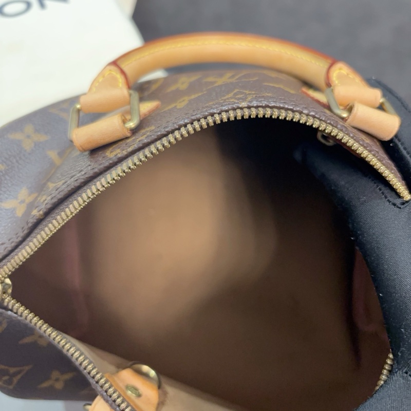LV路易威登Speedy 25老花手提包-5