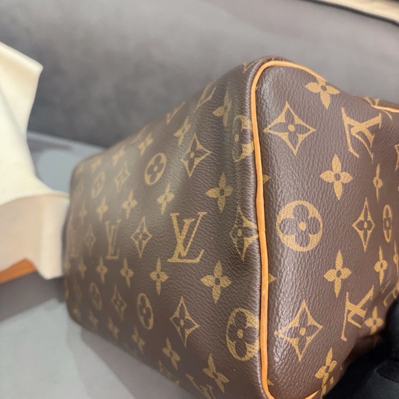 LV路易威登Speedy 25老花手提包-9