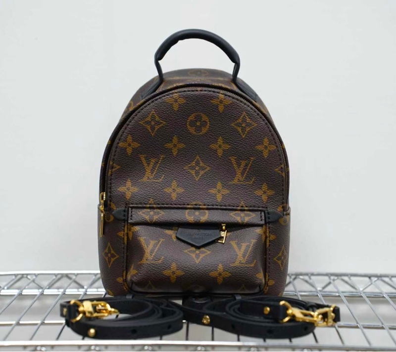 98-99❤️ LV 路易威登 老花小書包mini雙肩包後背包-0