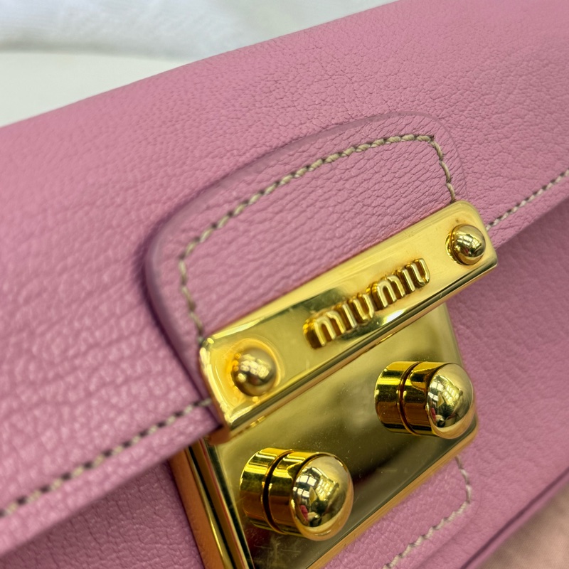 Miu Miu Clutch Bag-1