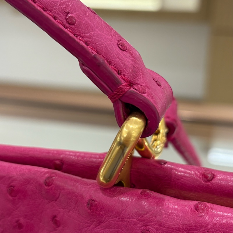 Fendi Peekaboo 極罕有 鴕鳥皮 二手like new❤️‍🔥-18