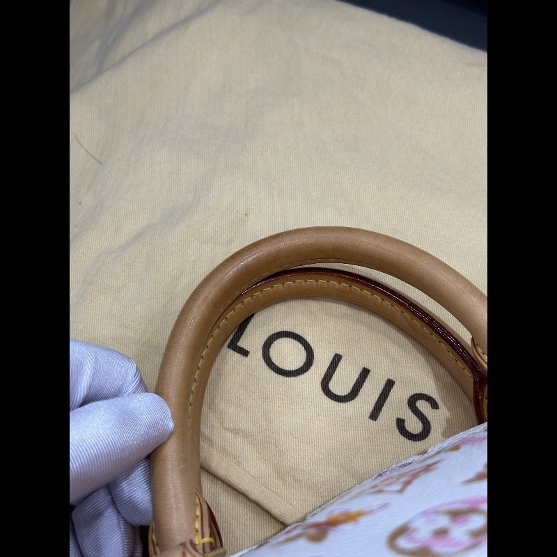 LV Speedy30 限量款水彩系列手提包-28