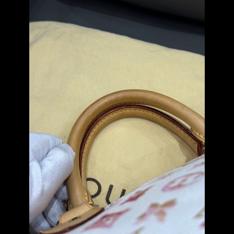 LV Speedy30 限量款水彩系列手提包-29