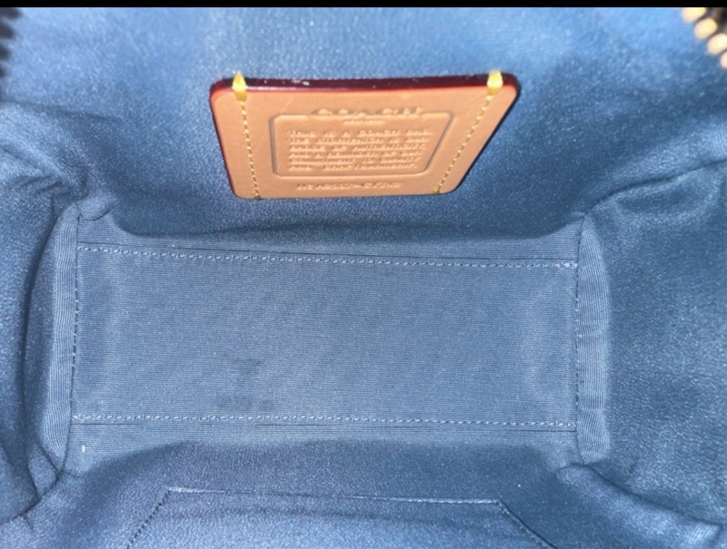 COACH 迷你Rowan 斜背包-12