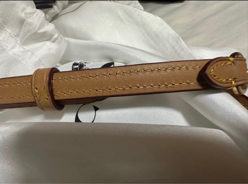 COACH 迷你Rowan 斜背包-28