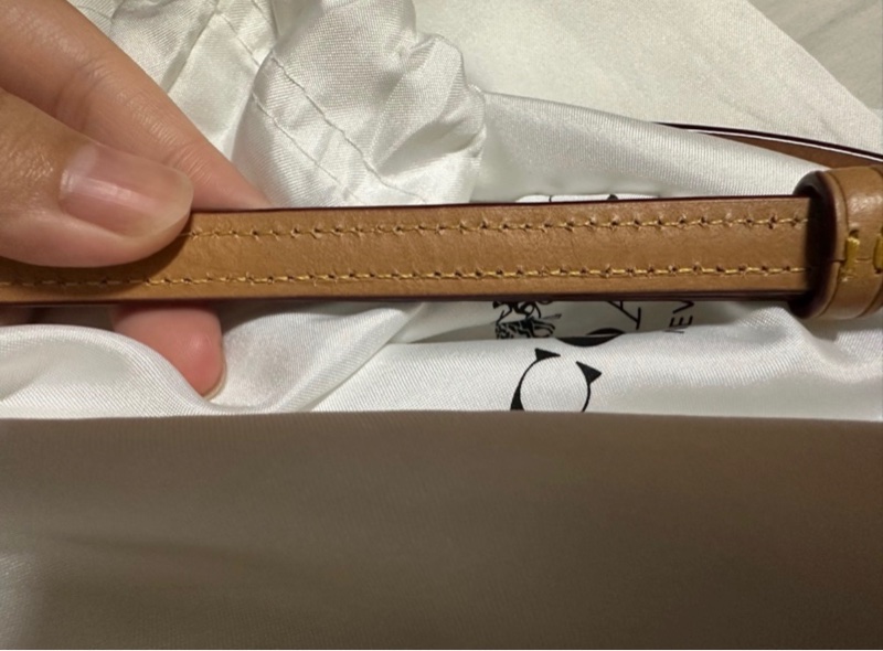 COACH 迷你Rowan 斜背包-29