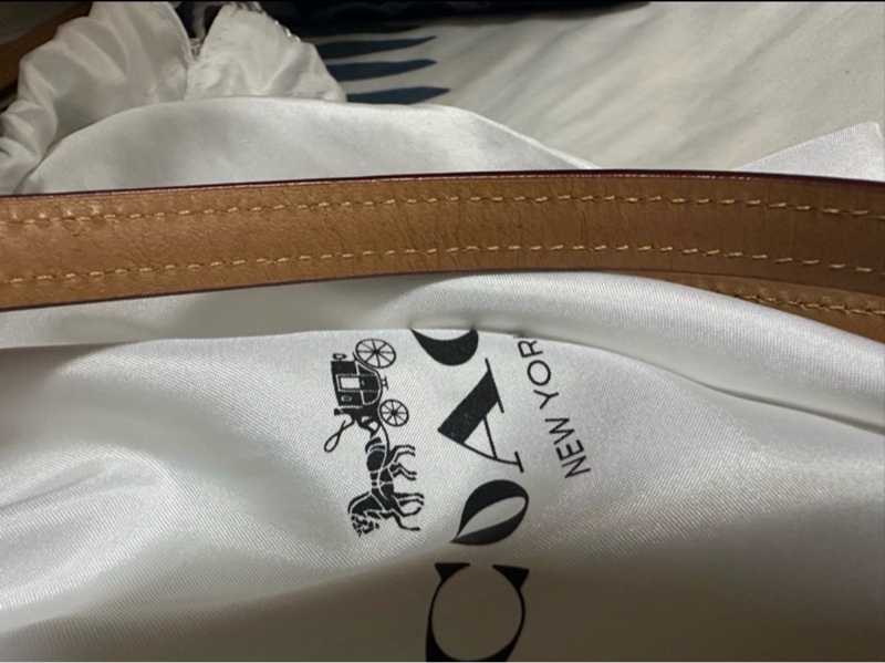 COACH 迷你Rowan 斜背包-31