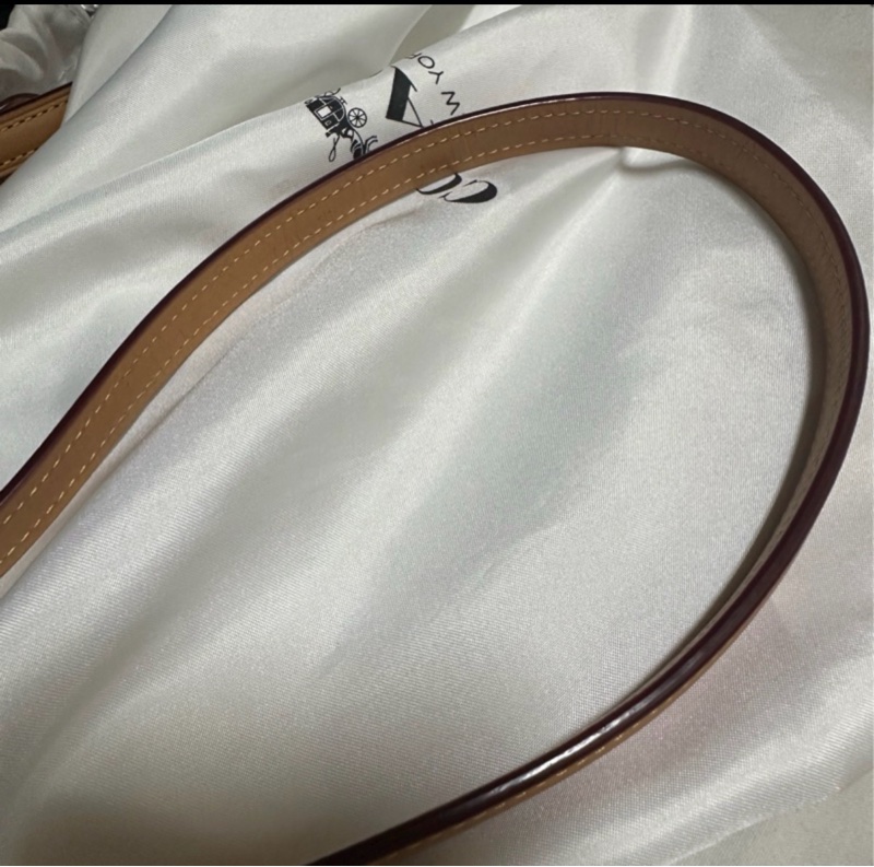 COACH 迷你Rowan 斜背包-38