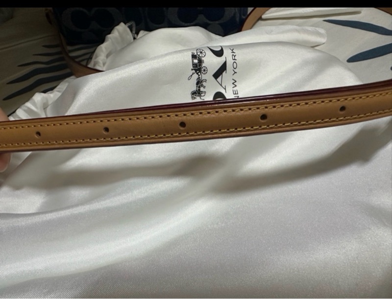 COACH 迷你Rowan 斜背包-40