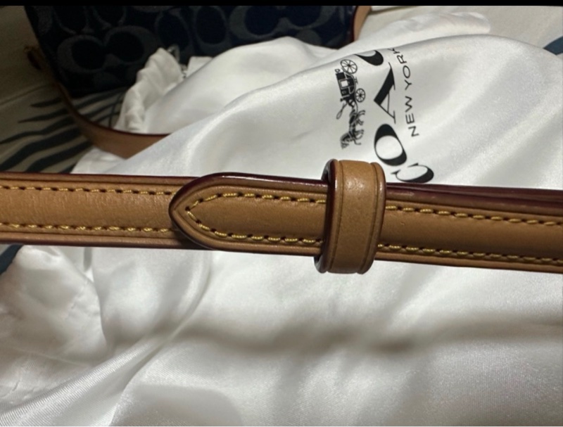 COACH 迷你Rowan 斜背包-41