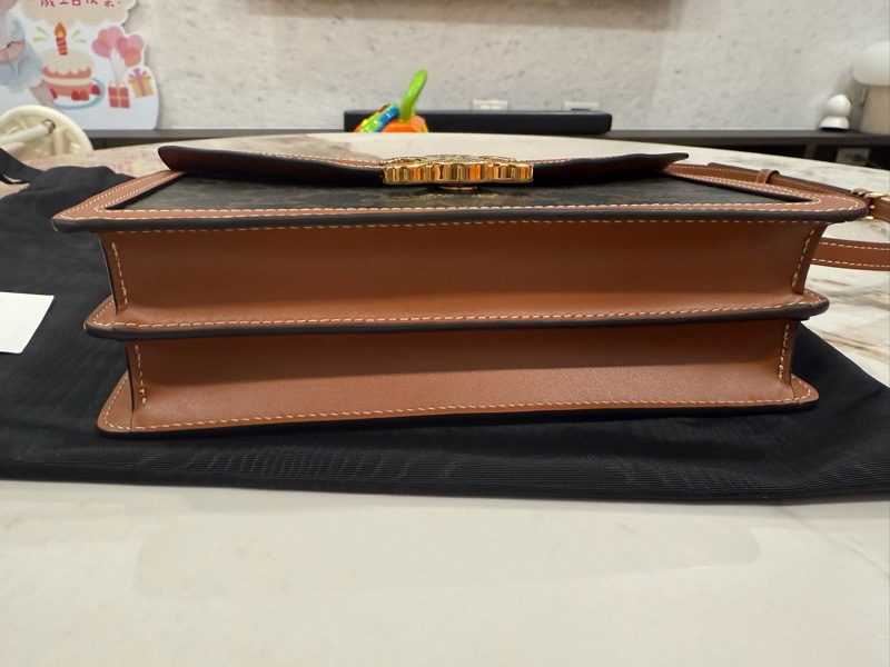 Celine (大款)經典老花信封包 Enveloppe Thriompe WOC包 肩背包-3