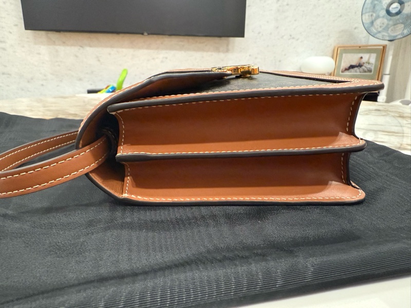 Celine (大款)經典老花信封包 Enveloppe Thriompe WOC包 肩背包-4