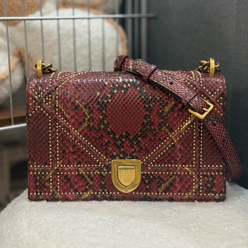 （購入價約四十萬台幣）DIOR 蟒蛇皮🐍 Diorama盾牌包-0