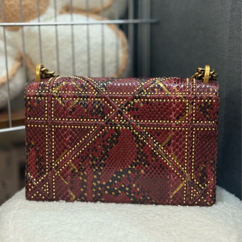 （購入價約四十萬台幣）DIOR 蟒蛇皮🐍 Diorama盾牌包-1