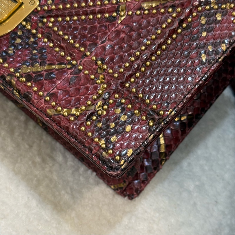 （購入價約四十萬台幣）DIOR 蟒蛇皮🐍 Diorama盾牌包-5