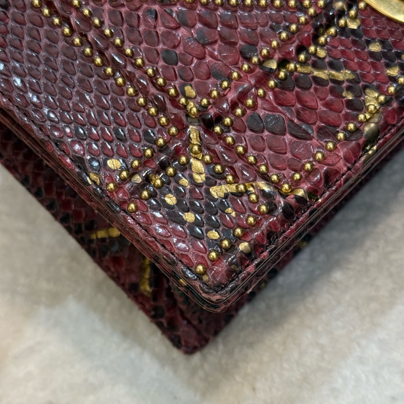 （購入價約四十萬台幣）DIOR 蟒蛇皮🐍 Diorama盾牌包-6