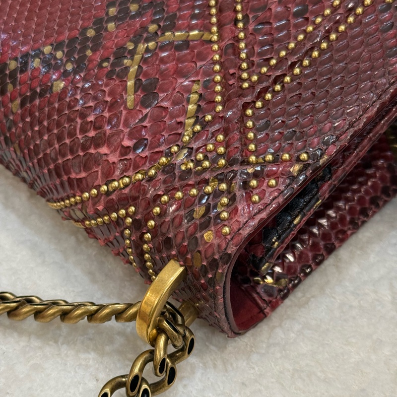 （購入價約四十萬台幣）DIOR 蟒蛇皮🐍 Diorama盾牌包-7