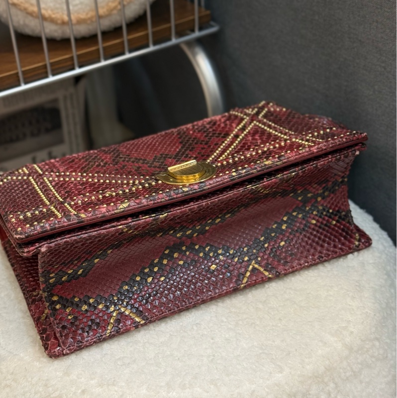 （購入價約四十萬台幣）DIOR 蟒蛇皮🐍 Diorama盾牌包-11