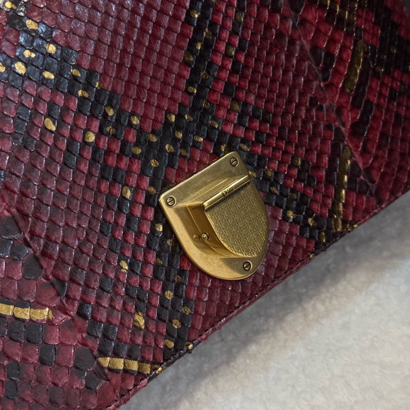 （購入價約四十萬台幣）DIOR 蟒蛇皮🐍 Diorama盾牌包-14